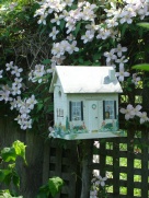 bird house(10K)